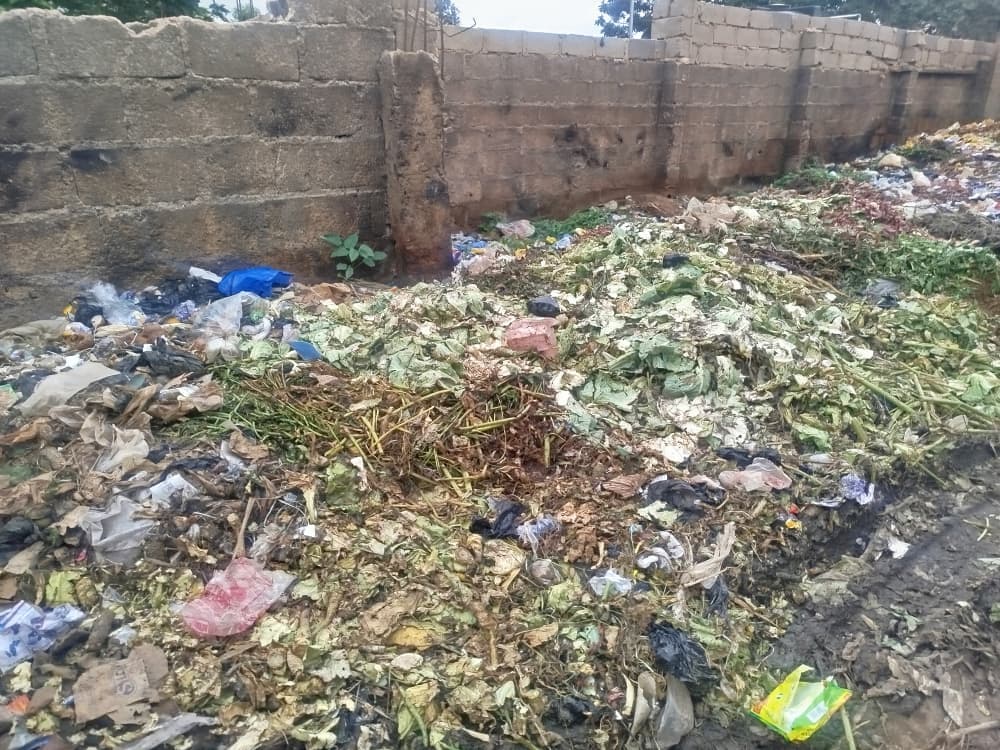 Pile of organic waste collected as feedstock